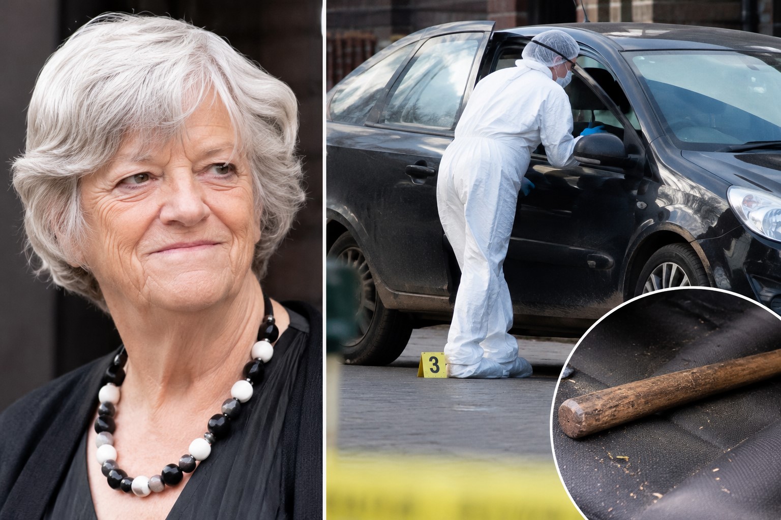 Ann Widdecombe Murder Investigation: Suspect Allegedly Placed Wooden Stick in Car on Day of Death